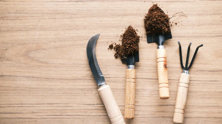 Na zdjęciu widoczny jest drewniany stole z narzędziami ogrodowymi, przygotowany na stole z dodatkiem gleby, co wskazuje na przygotowanie
