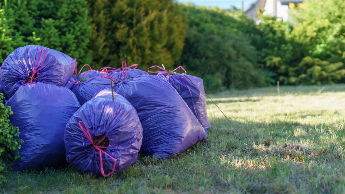 Fioletowe worki na śmieci ułożone w ogrodzie, symbolizujące porządki wiosenne