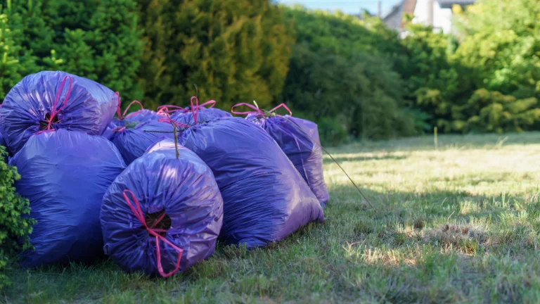 Fioletowe worki na śmieci ułożone w ogrodzie, symbolizujące porządki wiosenne