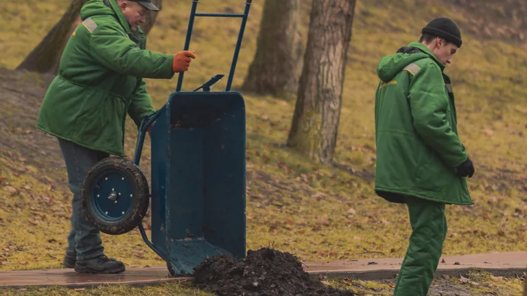 Pracownicy terenów zieleni z taczką podczas prac w parku