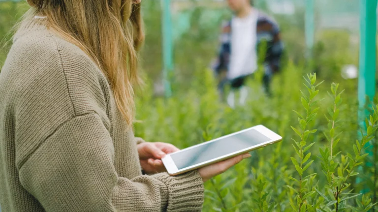 Kobieta w szklarni, na której widoczna jest tableta, wskazująca na technologię w rolnictwie, w tym planowanie produkcji ogrodniczej