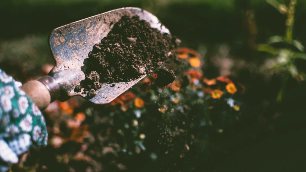 Łopatę ogrodową z glebą otaczają żywe kwiaty, tworząc piękny, naturalny motyw, który nawiązuje do tematu świadczącego o korzyściach