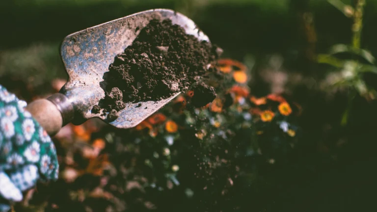 Łopatę ogrodową z glebą otaczają żywe kwiaty, tworząc piękny, naturalny motyw, który nawiązuje do tematu świadczącego o korzyściach